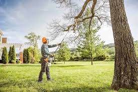 Best Soil Testing and Treatment  in South Pasadena, CA